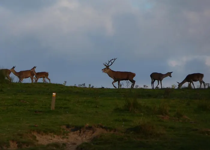 Hotel Rural El Fundil